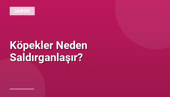 Köpekler Neden Saldırganlaşır?