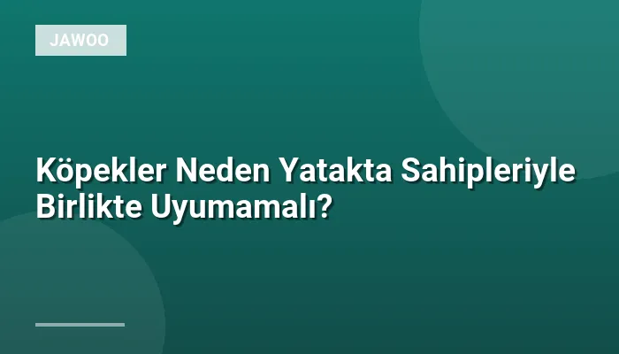 Köpekler Neden Yatakta Sahipleriyle Birlikte Uyumamalı?