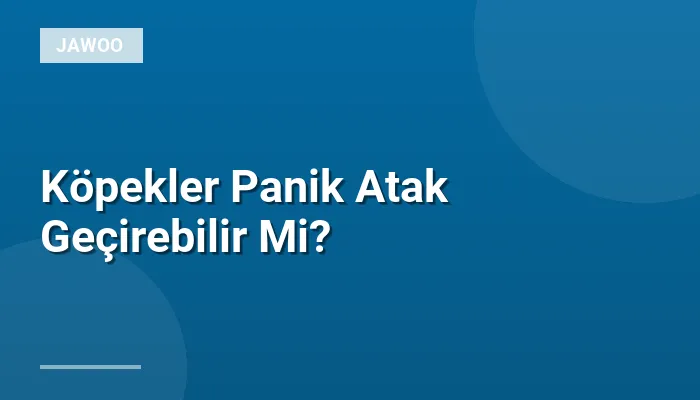 Köpekler Panik Atak Geçirebilir Mi?