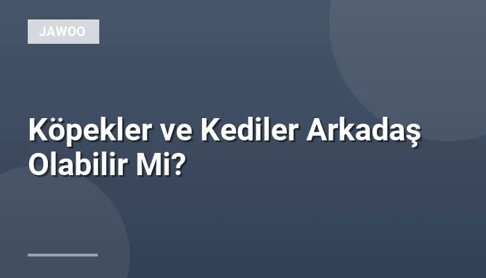 Köpekler ve Kediler Arkadaş Olabilir Mi?