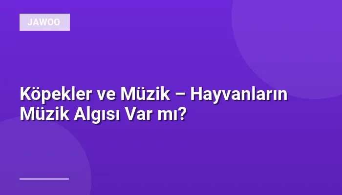 Köpekler ve Müzik – Hayvanların Müzik Algısı Var mı?