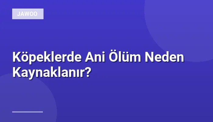 Köpeklerde Ani Ölüm Neden Kaynaklanır?