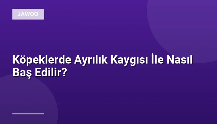 Köpeklerde Ayrılık Kaygısı İle Nasıl Baş Edilir?