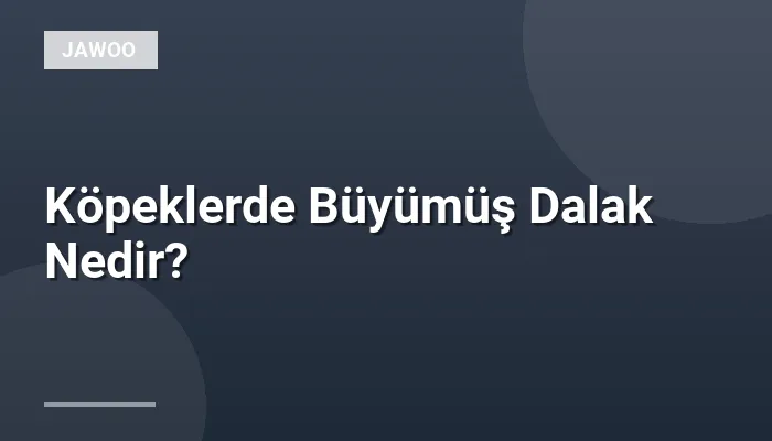 Köpeklerde Büyümüş Dalak Nedir?