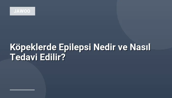 Köpeklerde Epilepsi Nedir ve Nasıl Tedavi Edilir?