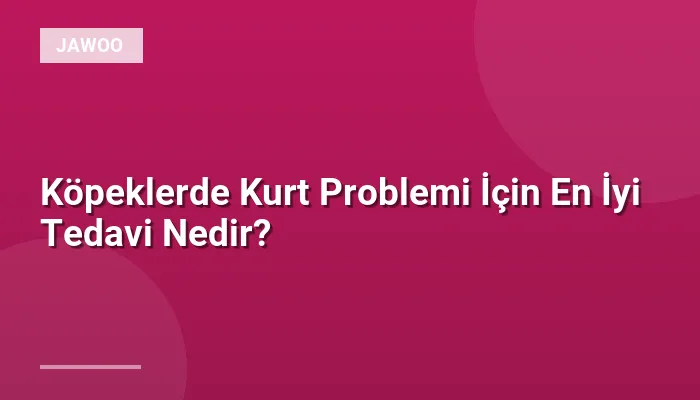 Köpeklerde Kurt Problemi İçin En İyi Tedavi Nedir?