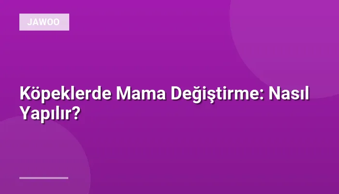 Köpeklerde Mama Değiştirme: Nasıl Yapılır?