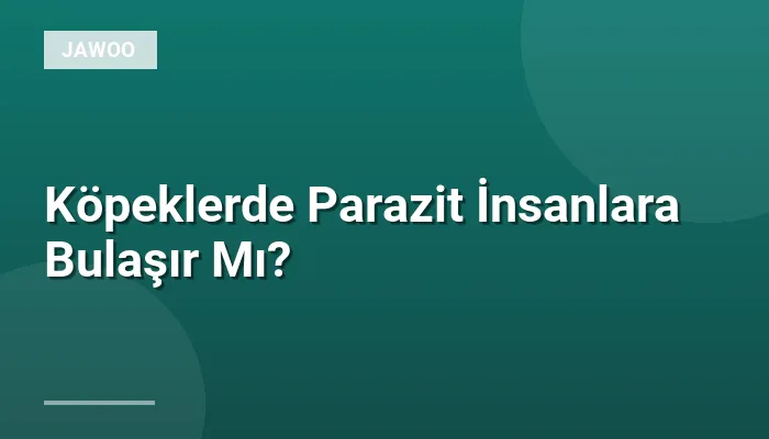 Köpeklerde Parazit İnsanlara Bulaşır Mı?