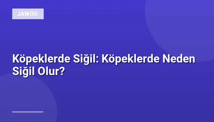Köpeklerde Siğil: Köpeklerde Neden Siğil Olur?