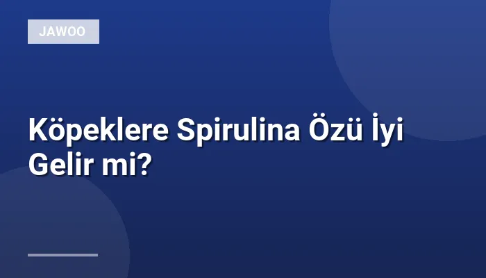Köpeklere Spirulina Özü İyi Gelir mi?