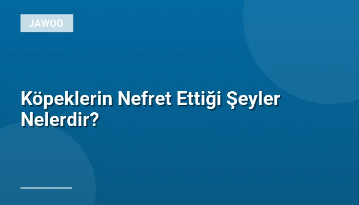 Köpeklerin Nefret Ettiği Şeyler Nelerdir?