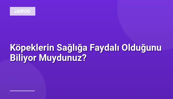 Köpeklerin Sağlığa Faydalı Olduğunu Biliyor Muydunuz?