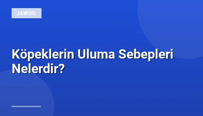 Köpeklerin Uluma Sebepleri Nelerdir?