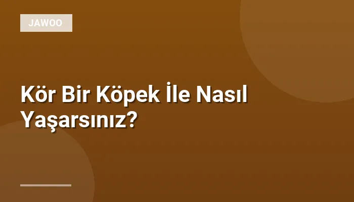 Kör Bir Köpek İle Nasıl Yaşarsınız?