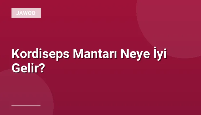 Kordiseps Mantarı Neye İyi Gelir?