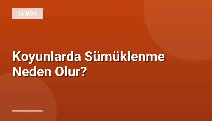 Koyunlarda Sümüklenme Neden Olur?