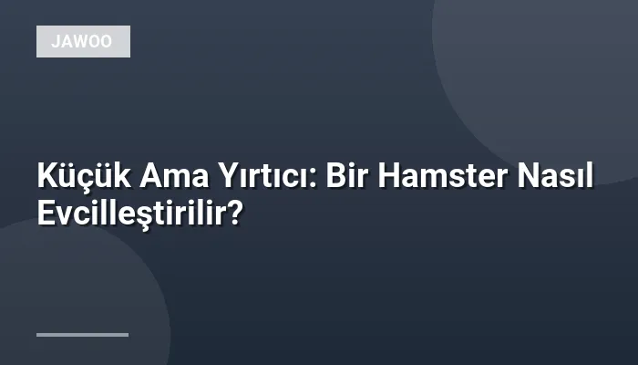 Küçük Ama Yırtıcı: Bir Hamster Nasıl Evcilleştirilir?