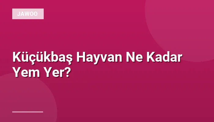 Küçükbaş Hayvan Ne Kadar Yem Yer?