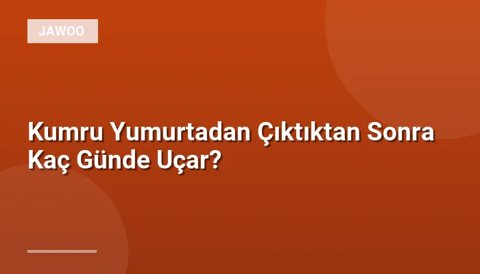 Kumru Yumurtadan Çıktıktan Sonra Kaç Günde Uçar?