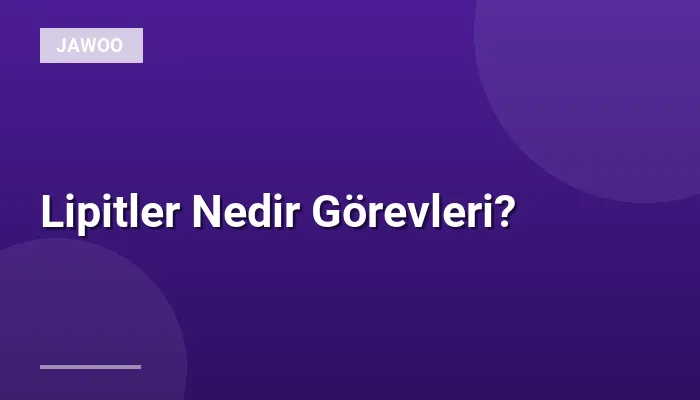 Lipitler Nedir Görevleri?