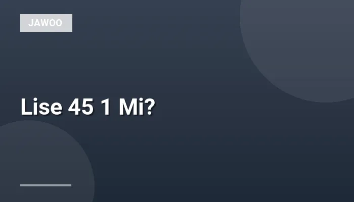 Lise 45 1 Mi?