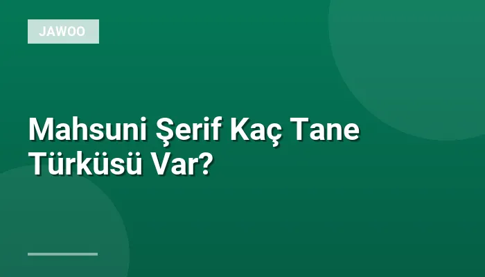 Mahsuni Şerif Kaç Tane Türküsü Var?
