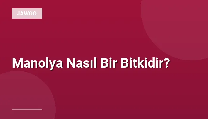 Manolya Nasıl Bir Bitkidir?