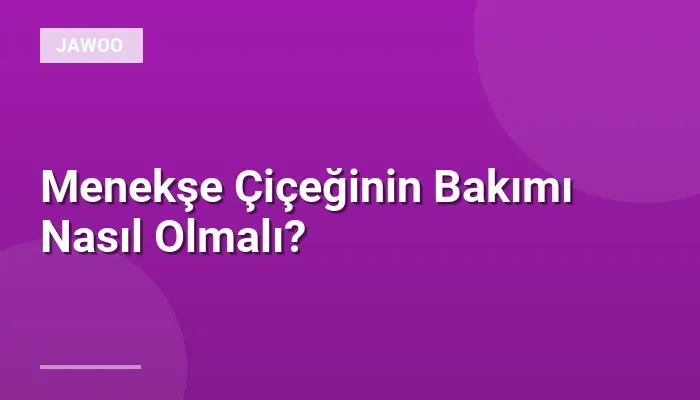 Menekşe Çiçeğinin Bakımı Nasıl Olmalı?