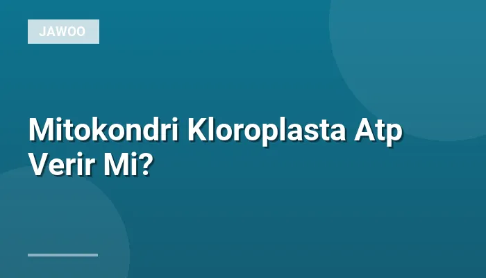 Mitokondri Kloroplasta Atp Verir Mi?