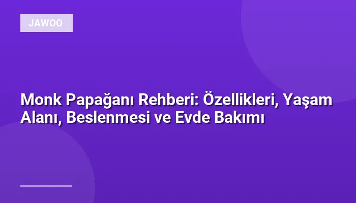 Monk Papağanı Rehberi: Özellikleri, Yaşam Alanı, Beslenmesi ve Evde Bakımı