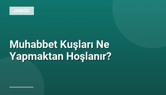Muhabbet Kuşları Ne Yapmaktan Hoşlanır?