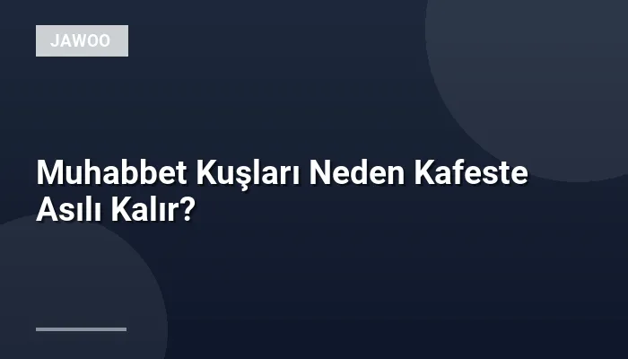 Muhabbet Kuşları Neden Kafeste Asılı Kalır?