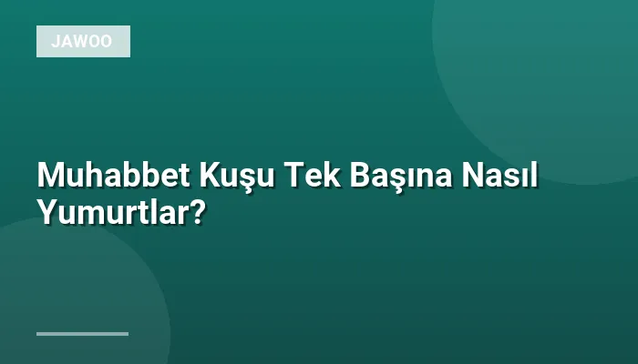 Muhabbet Kuşu Tek Başına Nasıl Yumurtlar?