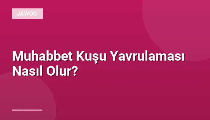 Muhabbet Kuşu Yavrulaması Nasıl Olur?