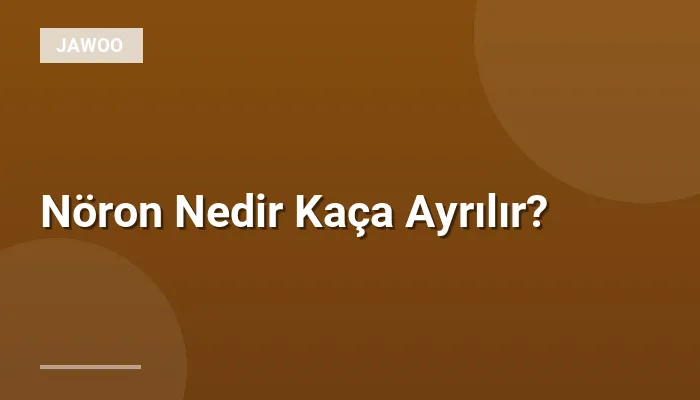 Nöron Nedir Kaça Ayrılır?