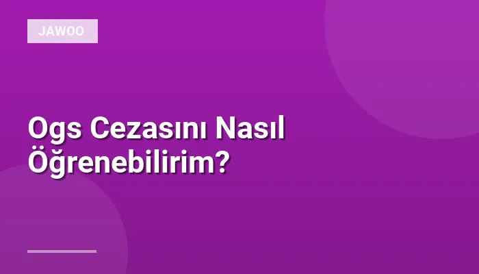 Ogs Cezasını Nasıl Öğrenebilirim?