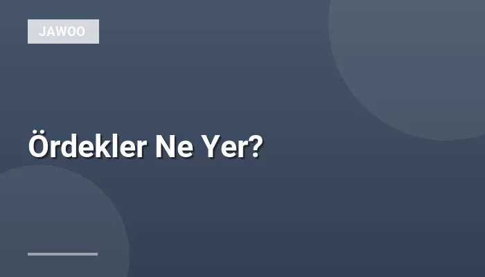 Ördekler Ne Yer?