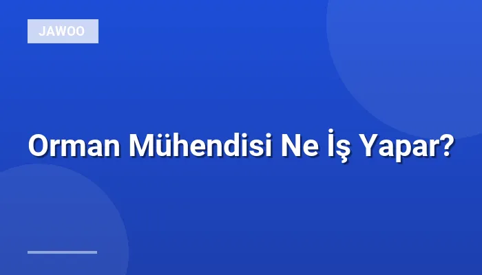 Orman Mühendisi Ne İş Yapar?
