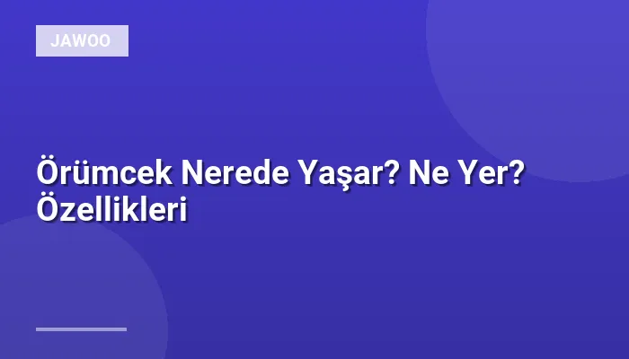 Örümcek Nerede Yaşar? Ne Yer? Özellikleri