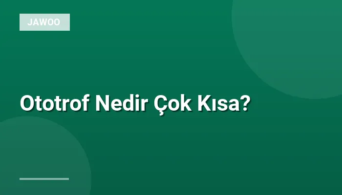 Ototrof Nedir Çok Kısa?