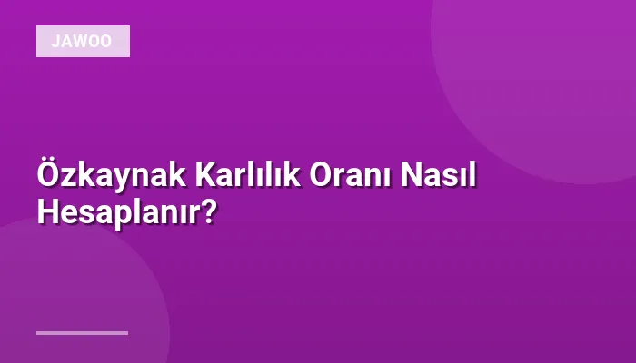 Özkaynak Karlılık Oranı Nasıl Hesaplanır?