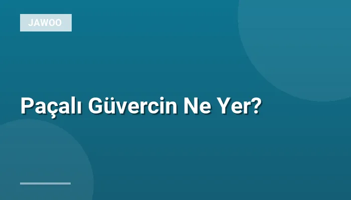 Paçalı Güvercin Ne Yer?