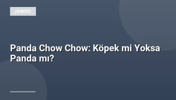 Panda Chow Chow: Köpek mi Yoksa Panda mı?