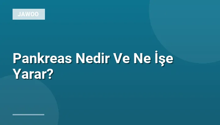 Pankreas Nedir Ve Ne İşe Yarar?