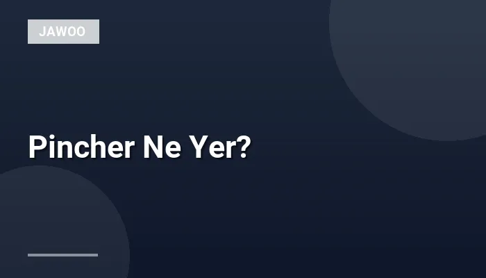 Pincher Ne Yer?