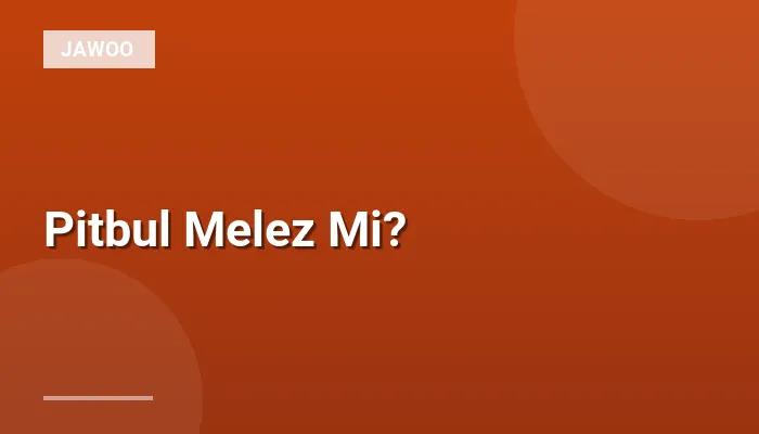 Pitbul Melez Mi?