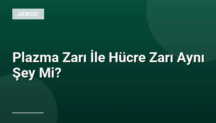 Plazma Zarı İle Hücre Zarı Aynı Şey Mi?