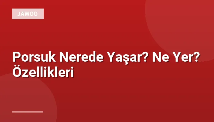 Porsuk Nerede Yaşar? Ne Yer? Özellikleri