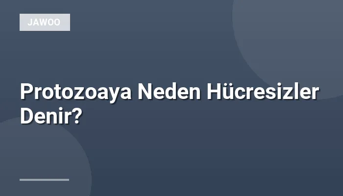 Protozoaya Neden Hücresizler Denir?