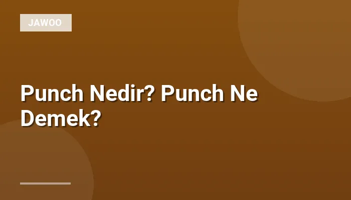 Punch Nedir? Punch Ne Demek?